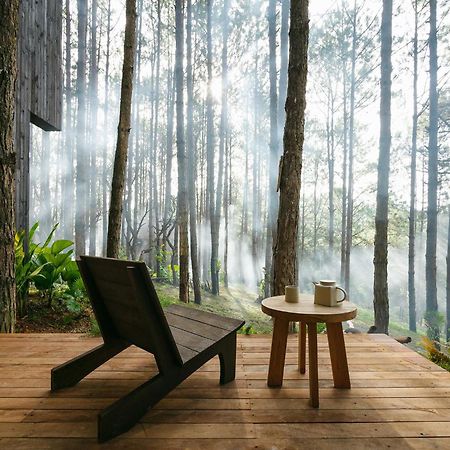 Mo Stay - Forest Resort 大叻 外观 照片