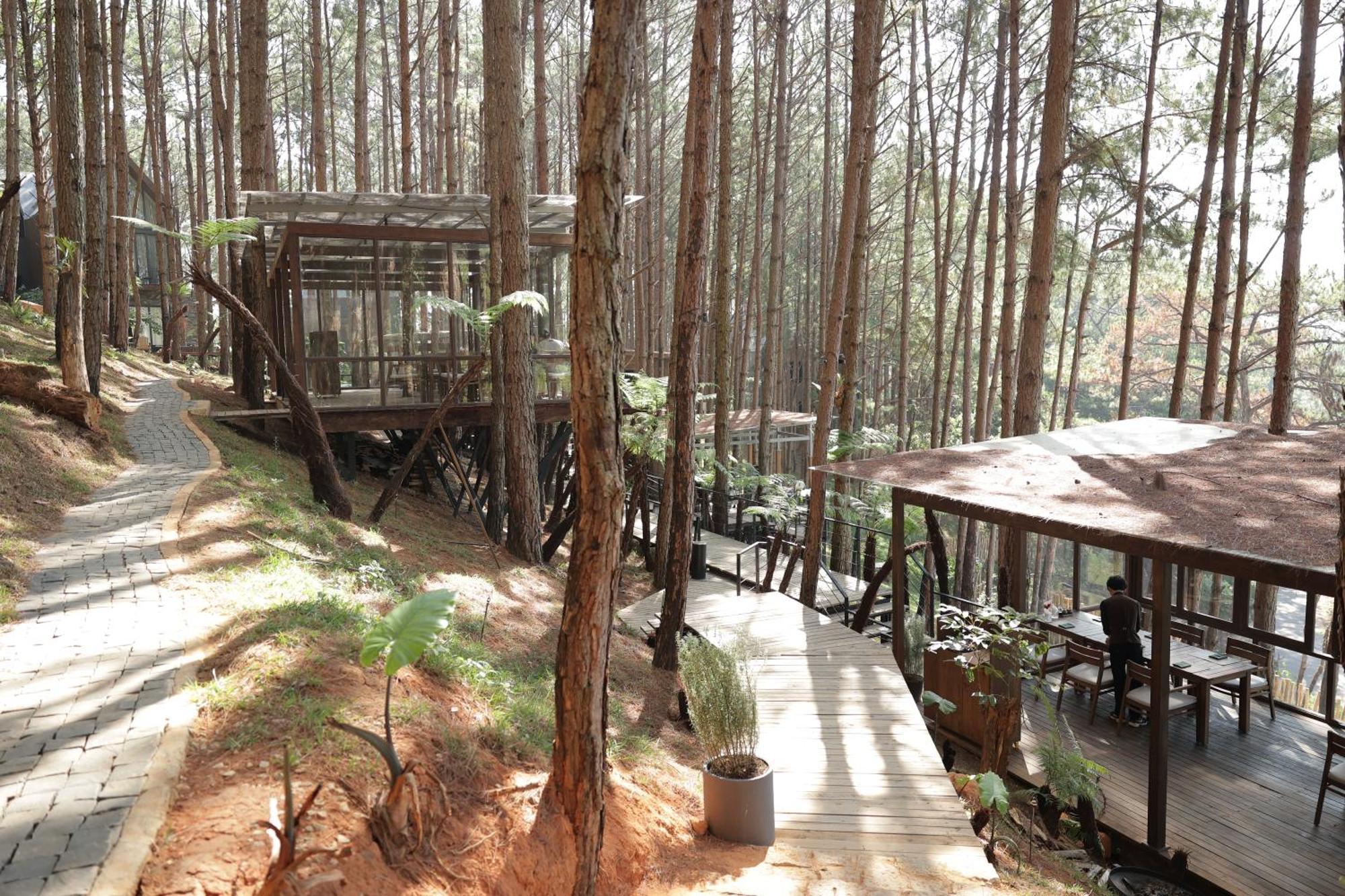 Mo Stay - Forest Resort 大叻 外观 照片