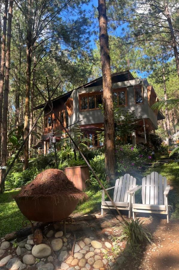 Mo Stay - Forest Resort 大叻 外观 照片