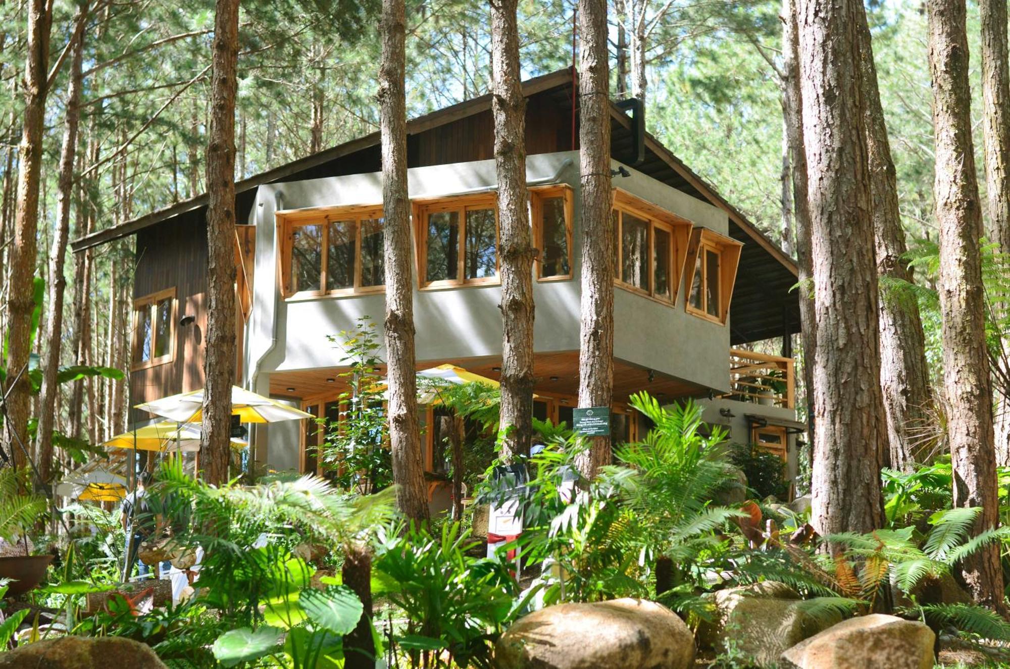 Mo Stay - Forest Resort 大叻 外观 照片