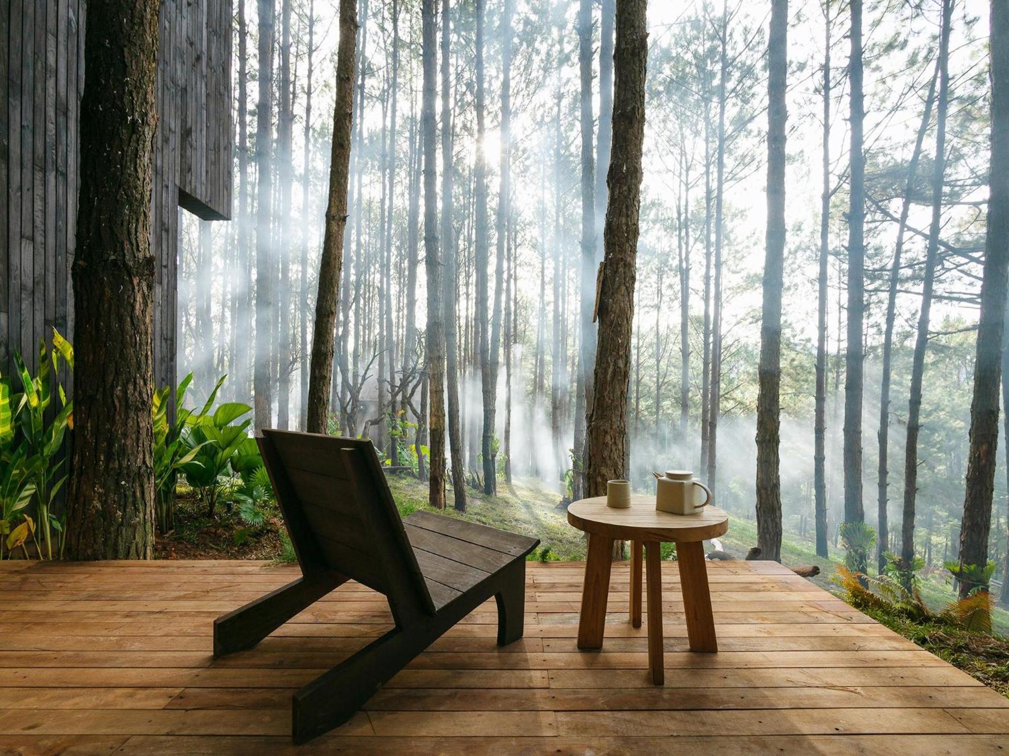Mo Stay - Forest Resort 大叻 外观 照片