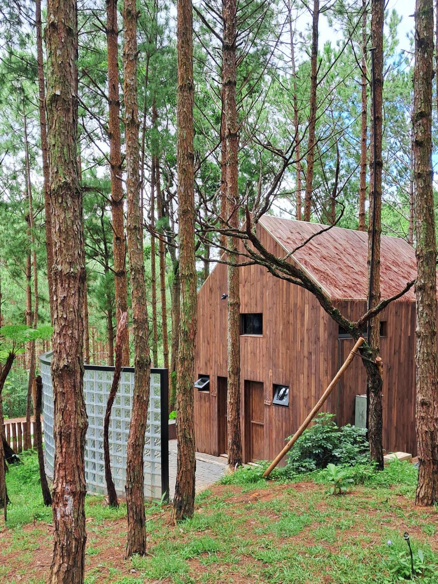 Mo Stay - Forest Resort 大叻 外观 照片